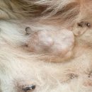 박물관옆동물병원 이미지