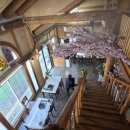 여우골옻닭 이미지