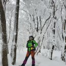 고루포기산은 포기하고 능경봉 눈꽃산행 이미지