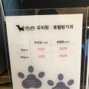 디비디비(dbdb) 이미지