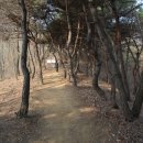 고모령길 티스토리