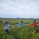 소서제주 7월2일 | 제주 한달살기 숙소 애월 독채펜션 [소서제주 7월2일]