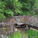 어머니추어탕 이미지