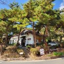 파파스브로트 이미지