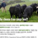 (주)지성글로벌 이미지