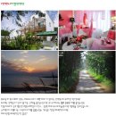 국내 여행