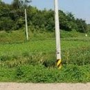 여주-0460 이미지