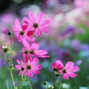 명장2동-9 이미지