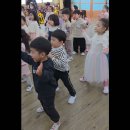 (주) 티피코 Daum카페