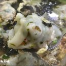 만두이야기 이미지