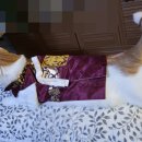 남도한복 이미지