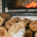 스토리민박 이미지