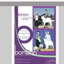 도그뉴스 이미지