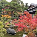 남천-3(금곡교 버스정류장 옆) | 일본 &#39;나라(奈良)&#39; 3박 4일 자유여행 #21 나라 요시키엔 (吉城園) 방문 후기