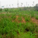 솔내음농장 이미지