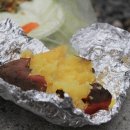 밀양표충오토캠핑장 이미지