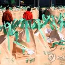 입장농협 산지유통센터 연합뉴스