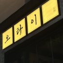 대전 중구 감성 술집 오라이 후기｜오징어통찜 생새우회 맛집