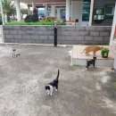 귀덕농장 이미지