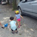 우래골 대추나무 농원 이미지