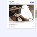 디어메이트 이미지