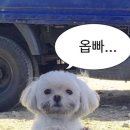 훈민정 네이버블로그