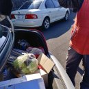 제주방 꽃 삼월 모임 후기 이미지