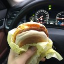 시동유정낚시터 | 홍천 손맛터 시동낚시터에 다녀옴.