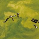 책속 키워드 단어찾기 이미지