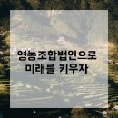 영농조합법인 늘처음처럼 이미지