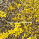 프롬디(FROM:D) 이미지