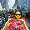 오마이구슬아이스크림 | 260419 기아타이거즈 VS 두산베어스 직관 후기 || 잠실야구장 외야응원석 405구역 시야