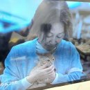 제주오름동물병원 이미지