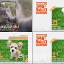 (주)반려애수 이미지