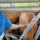 청주약품 이미지