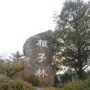 대학원 샘들과 함께하는 제주도 겨울여행 이미지