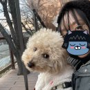 널독