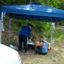 바둑이농장 이미지