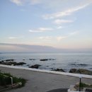 포항애견 이미지