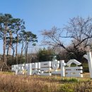 레드로드(어울마당로) 네이버블로그