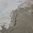 문수렌탈