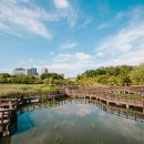 푸른수목원 이미지