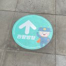 기린부화장 | 5월 경주여행 아이랑 가볼만한 경주동궁원
