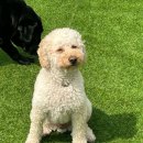 달콤체육관 이미지