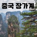 황실장가계 | 환갑기념으로 하나투어 무비자 장가계 패키지여행 4박5일 후기