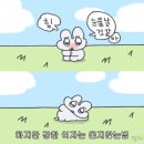 영통종합사회복지관 이미지