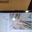 탈모케어존부산 - 동래구 충렬대로137번길 7 | 탈모케어존부산