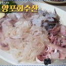 양포횟집 - 북구 성북로5길 6-1 | 양포횟집