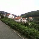 미국마을 이미지