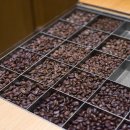 독서B(책 속에서의 발견) 이미지